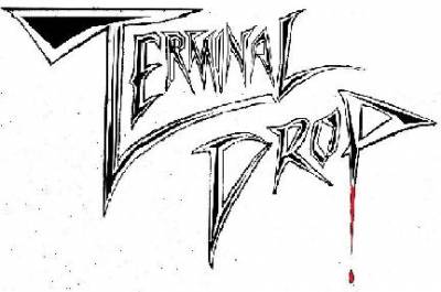 logo Terminal Drop